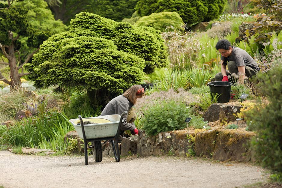 Gardens And Horticulture | RHS Careers / RHS