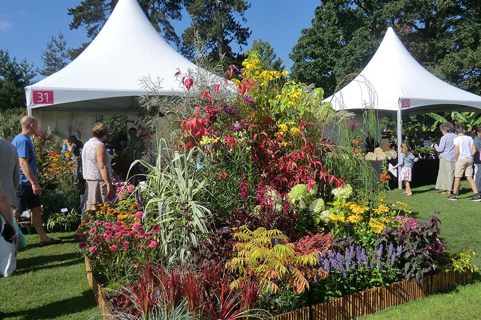 RHS Harlow Carr Flower Show Events & shows in Harrogate / RHS