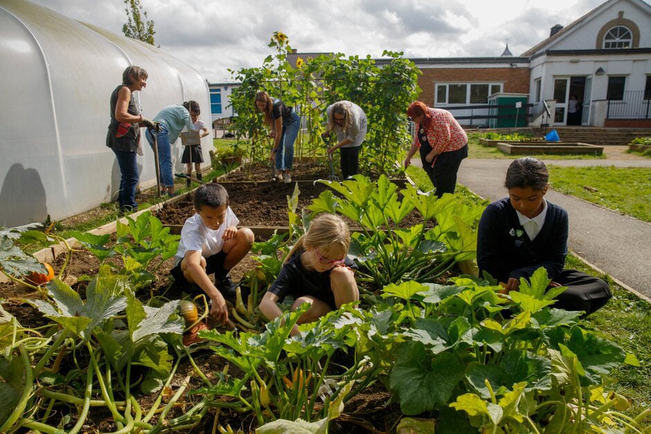 Community Gardens  Liverpool City Council