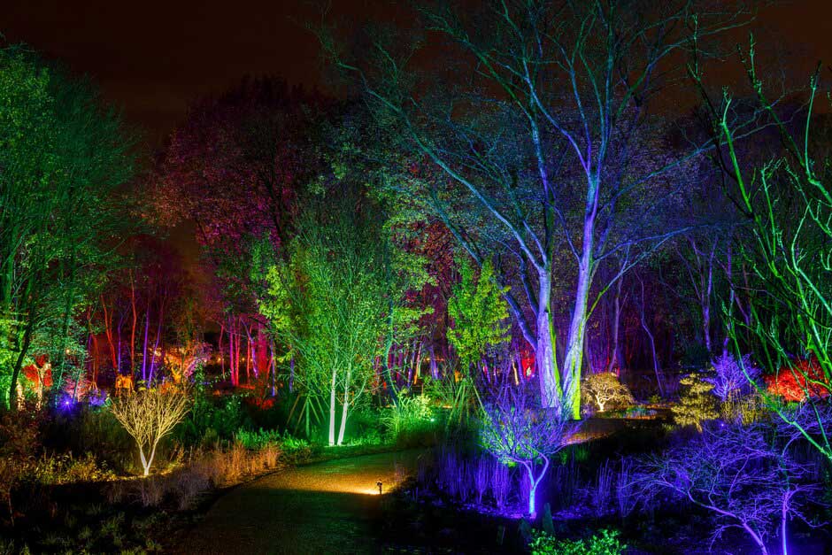 RHS Bridgewater Glow Winter Garden Illuminations in Greater