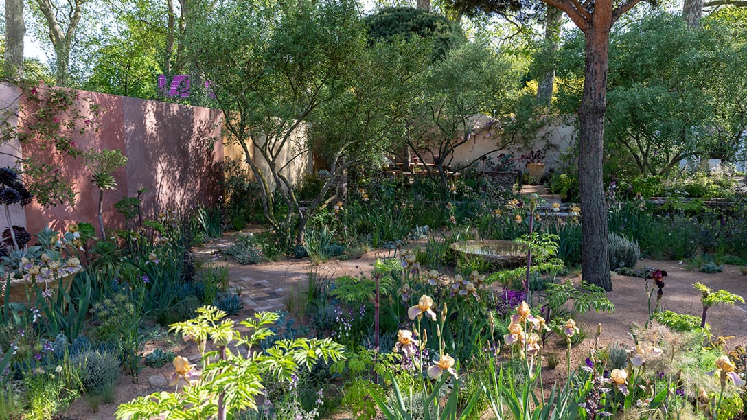 The Nurture Landscapes Garden