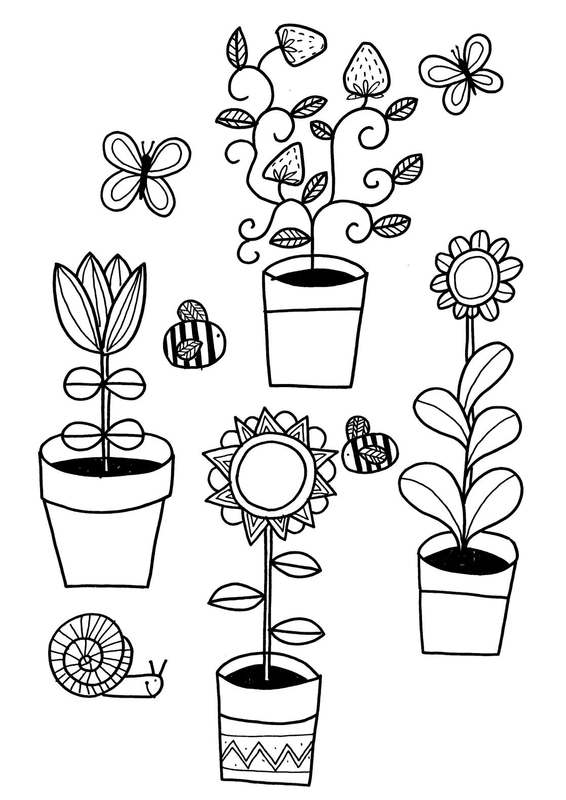 how seeds grow coloring pages