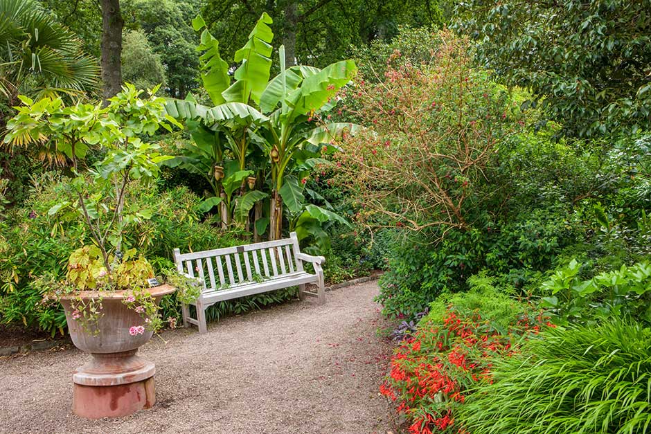 Looking good now at Rosemoor / RHS Garden Rosemoor in North Devon / RHS