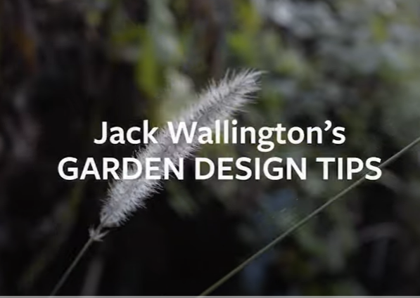 Jack Wallington&#39;s garden design tips