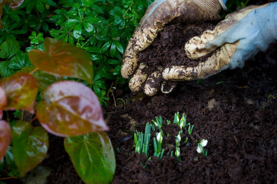 Meet The Environmental Horticulture Team / RHS Gardening