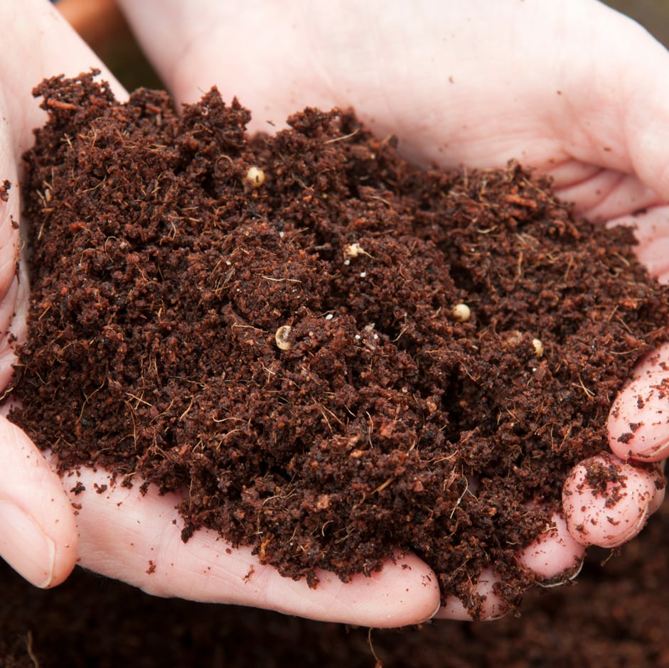 Many peat-free composts are based on coir or composted bark