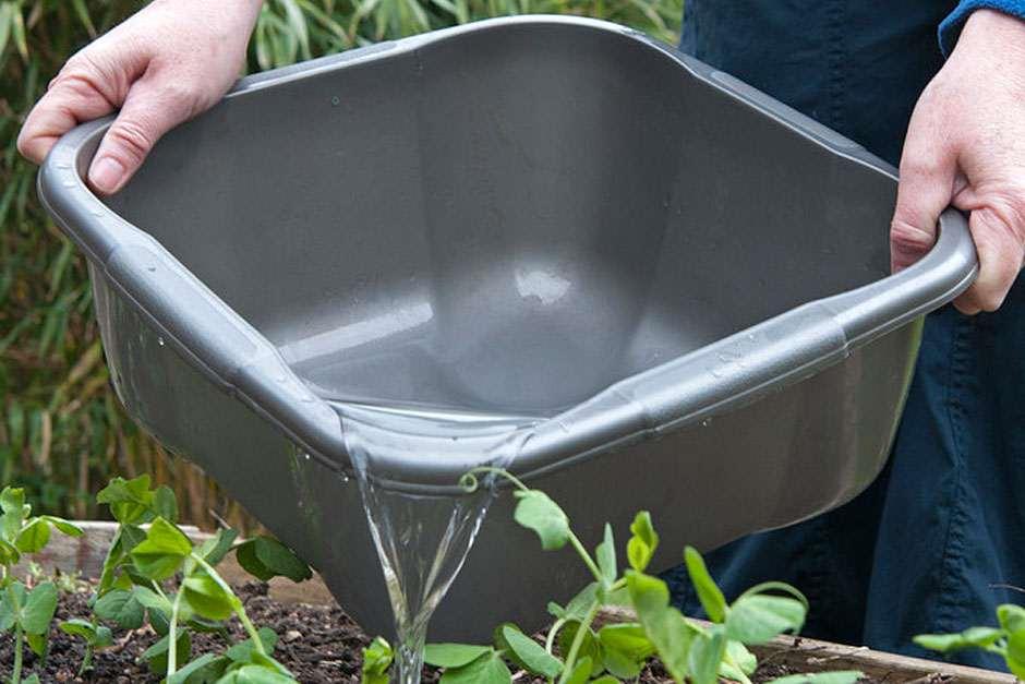 what is grey water: expert RHS advice on using grey water in