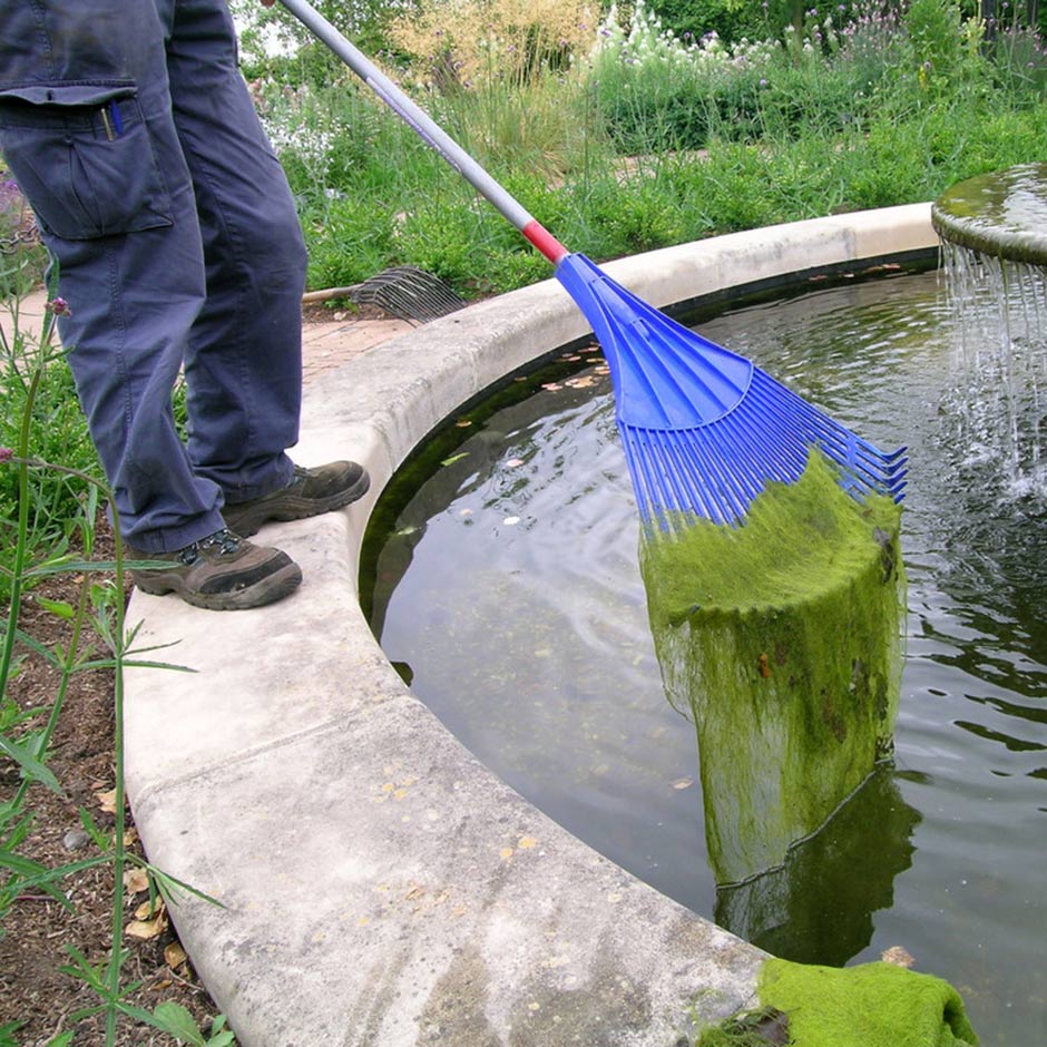 Remove blanket weed if you want to keep formal ponds clear