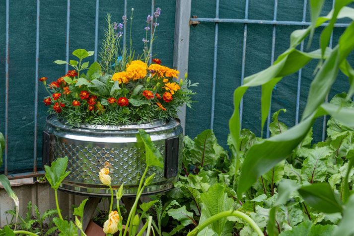 Laundry drums have been fashioned into innovative features in the gardens’ landscape design