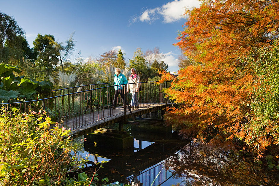 Information About Rhs Garden Hyde Hall In Essex Rhs Gardening