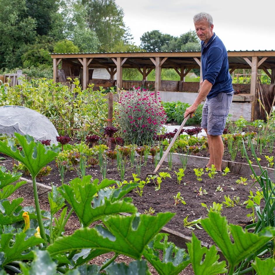No Dig Gardening, Sustainable Gardening With Less Effort – Deep
