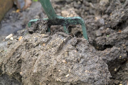 Understanding Clay Soil and How to Improve It
