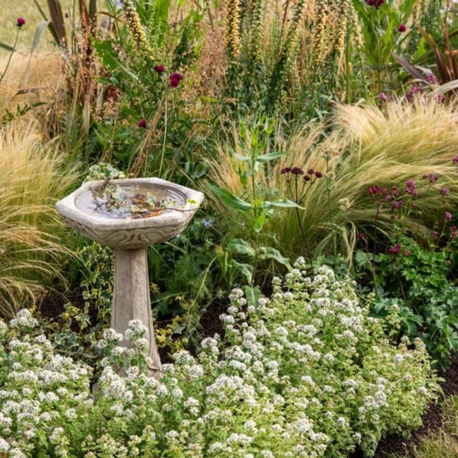 A water feature can be a great addition to your sensory garden