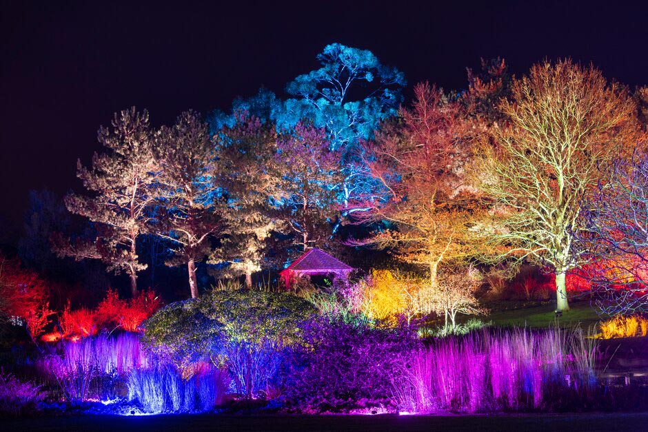 Garden View Christmas Party December 21 2022 Glow 2021 | Rhs Garden Hyde Hall / Rhs Gardening