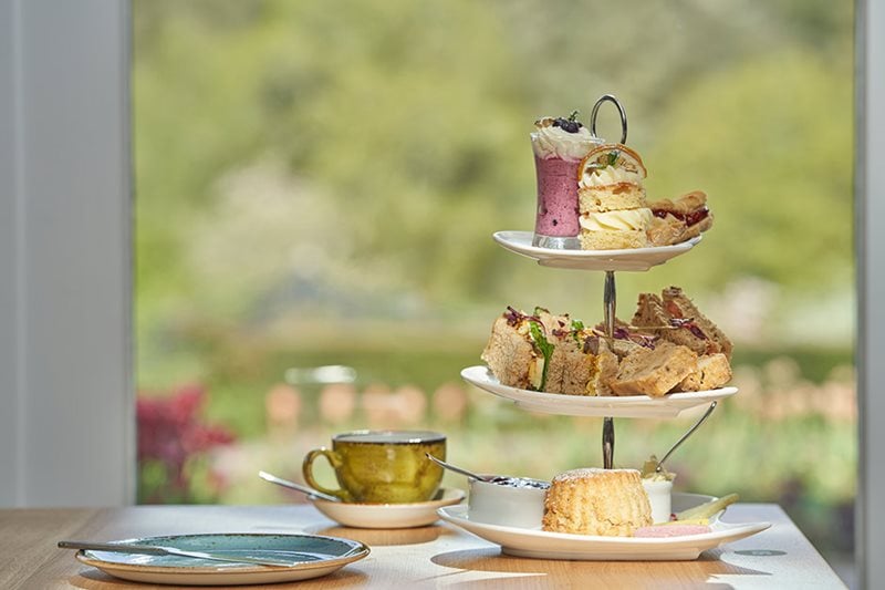 RHS Garden Rosemoor afternoon tea