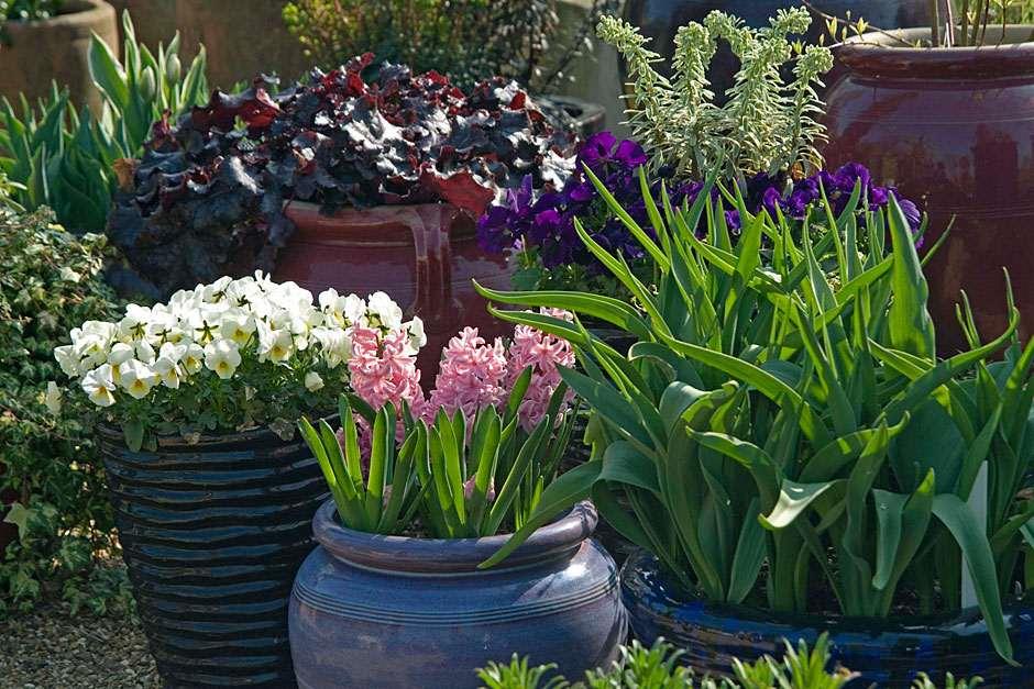 Gardening on sale in pots