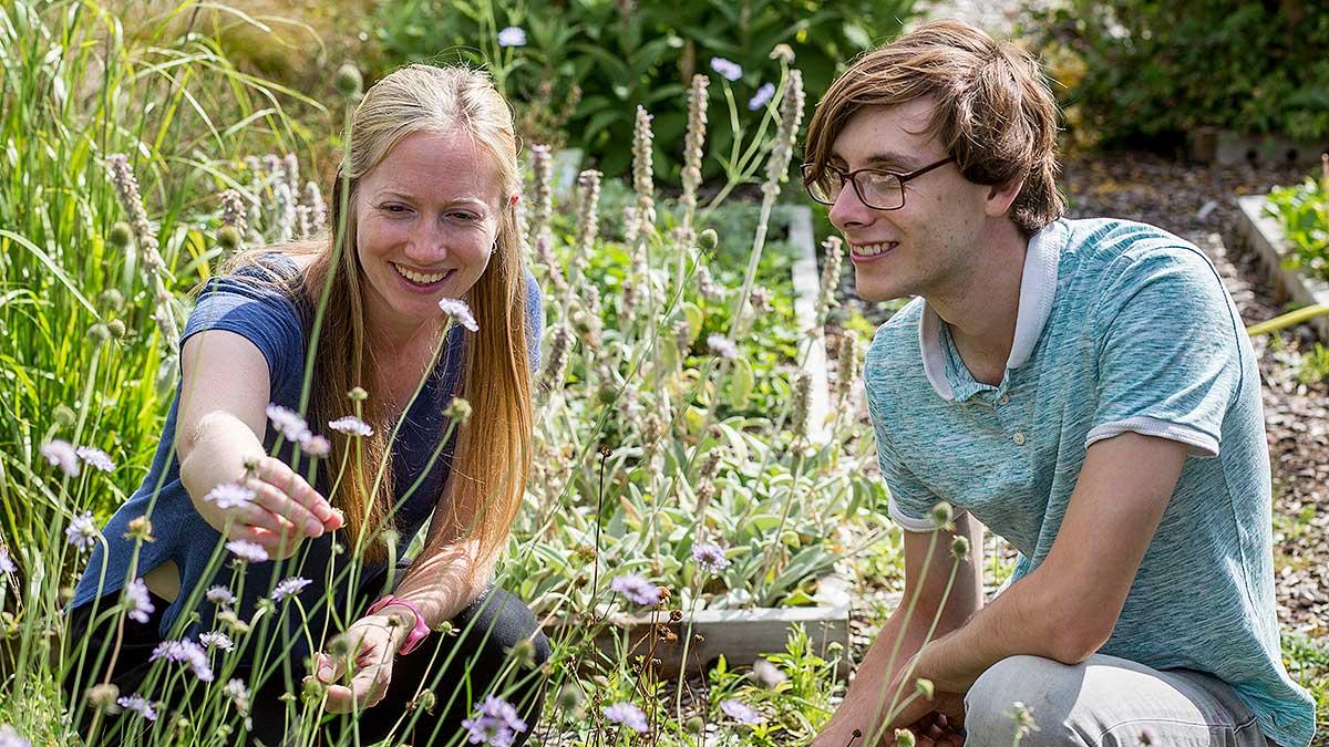 RHS Horticultural Training And Qualifications / RHS Gardening