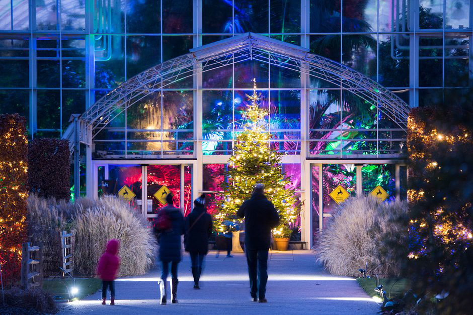 Glow 2019 at RHS Garden Wisley ¦ Fun, family days out & events in ...