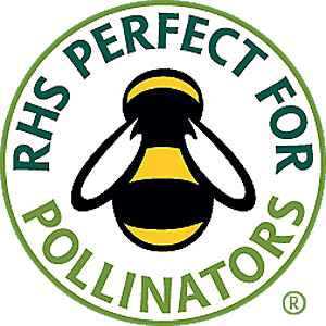 Get your garden buzzing with our free RHS Perfect for Pollinators plant ...