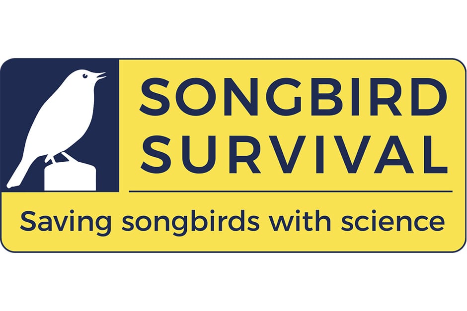 SongBird Survival