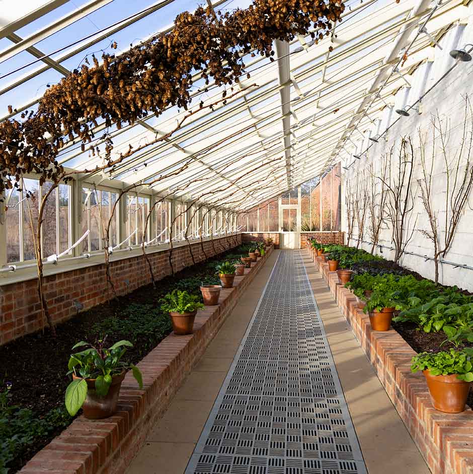 Greenhouses need to be well ventilated to prevent dampness and mould