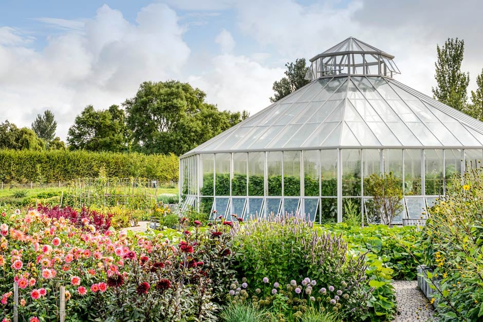 Global Growth Vegetable Garden at RHS Hyde Hall