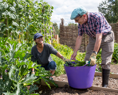 Gardening after a stroke / RHS