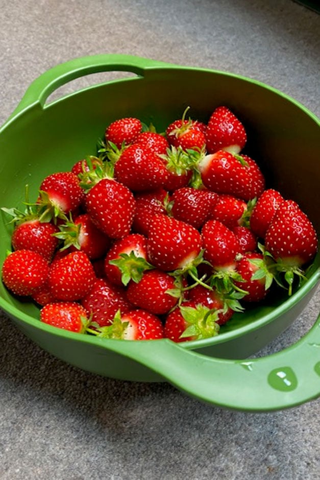 A bowl of strawberries harvested from the potted plants