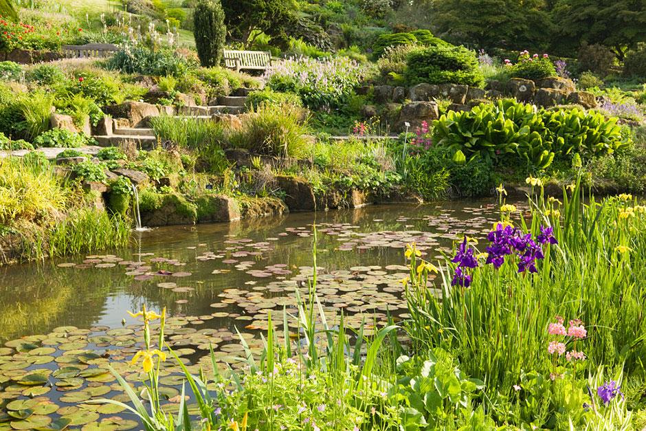 RHS Garden Wisley : Days and events in Surrey / RHS Gardening on Rhs Garden Design
 id=77831