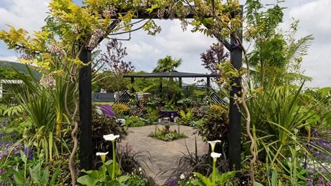 The Hierarchy of Plants