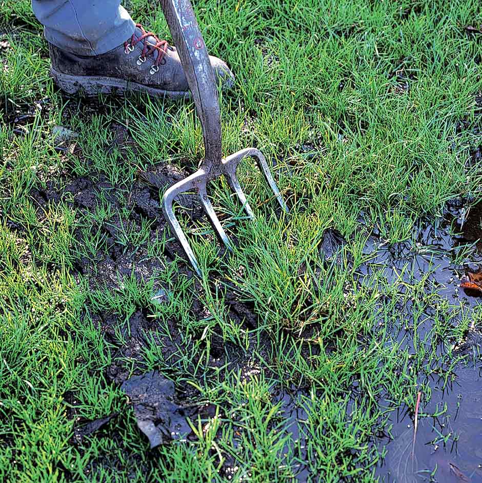 Puddling water on soil surfaces indicates a drainage problem