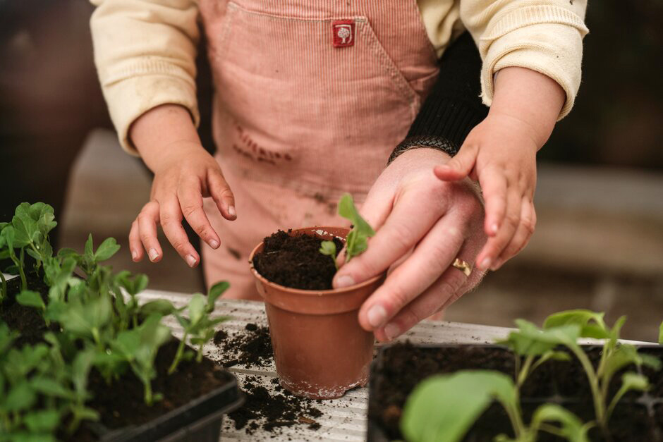 https://www.rhs.org.uk/getmedia/3a73bc21-4e59-48b0-acda-461d69421000/father-and-child-pot-up-seedlings.jpg?heig&width=940&height=627&ext=.jpg