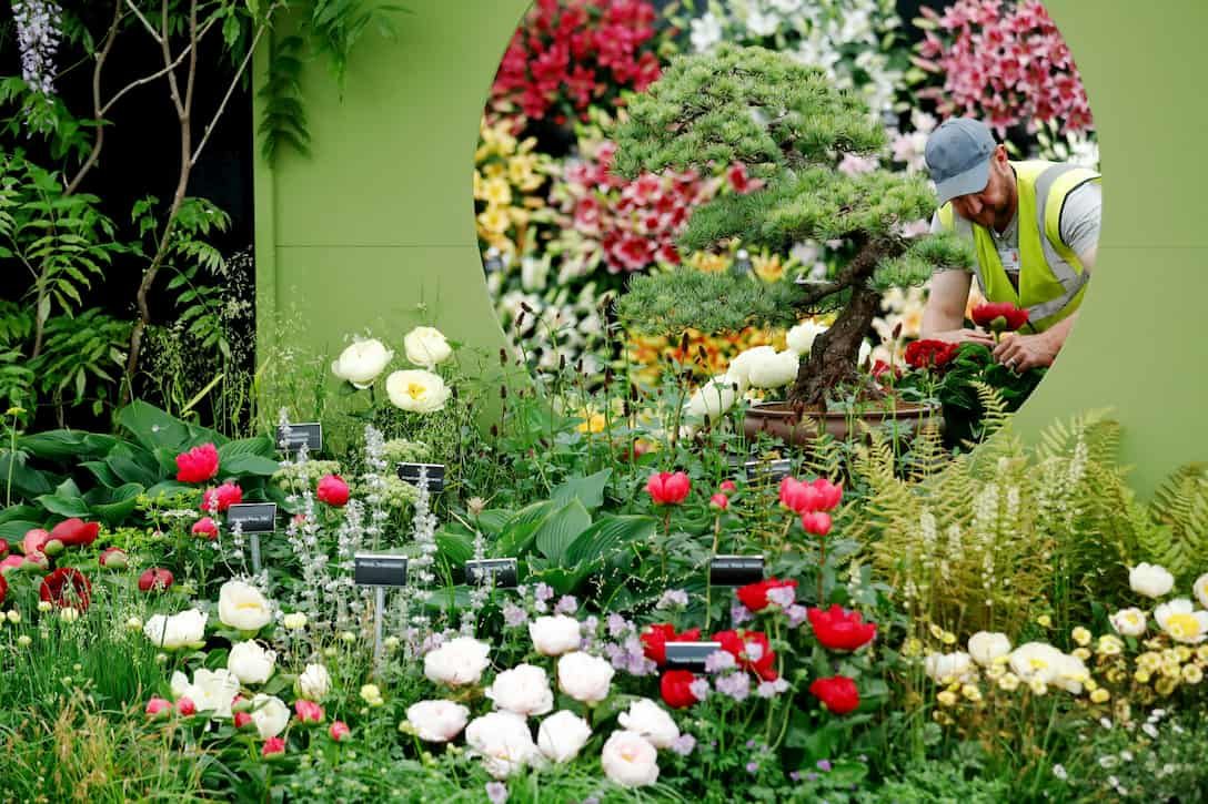 Искать сад. Челси Фловер шоу 2021. Челси Фловер шоу 2020. Virtual RHS Chelsea Flower show. RHS Chelsea Flower show 2021.