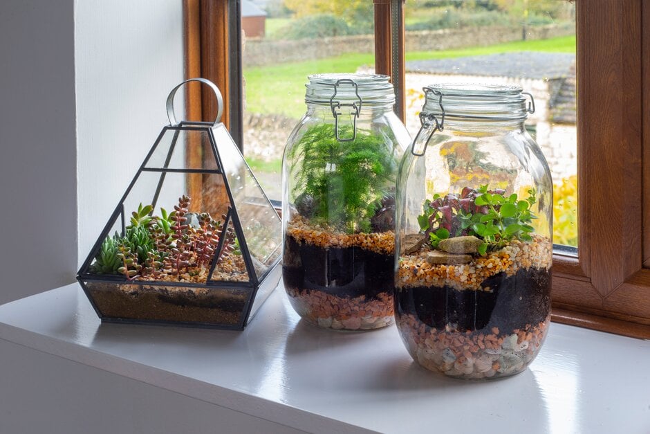 How to care for your closed terrarium - Grow my Wellbeing