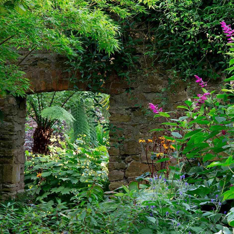 Abbotsbury Subtropical Gardens