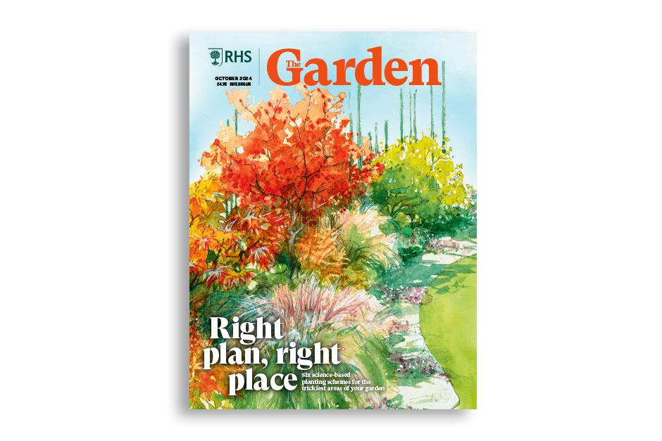 See six science-based planting schemes to help you choose plants for tricky garden areas. Learn how family tradition is being kept alive with the supply of fruit trees at Keepers Nursery in Kent. Explore four expert picks for top evergreen ferns. Find some of the best Japanese maples, among 1,000 cultivars, to use in the garden at home. Tour a North Yorkshire garden filled with autumn colour from late perennials and self-seeding plants.Available for members on RHS The Garden app.