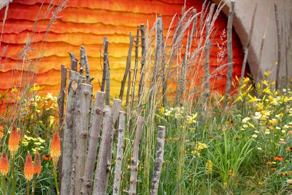 The Lion King Garden at RHS Hampton Court 2024