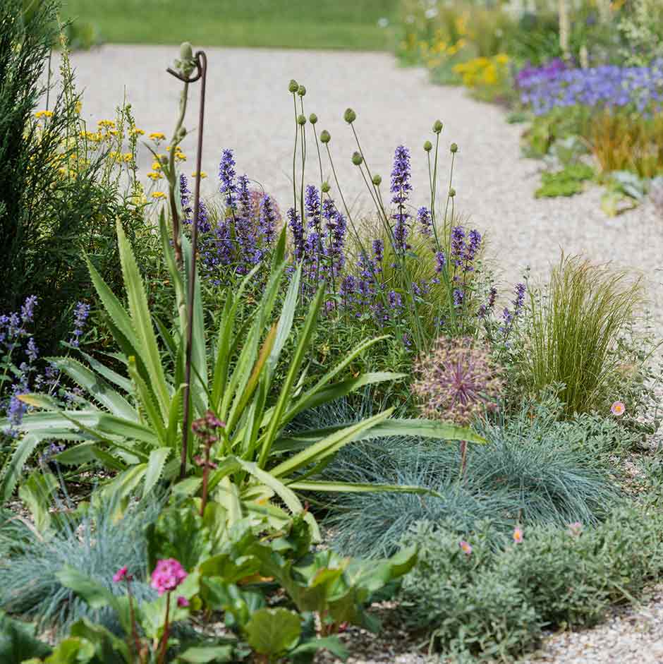 With careful plant choice it is possible to produce beautiful gardens even on dry soils