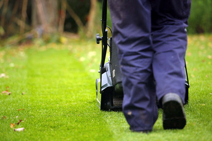 Cutting a new discount lawn