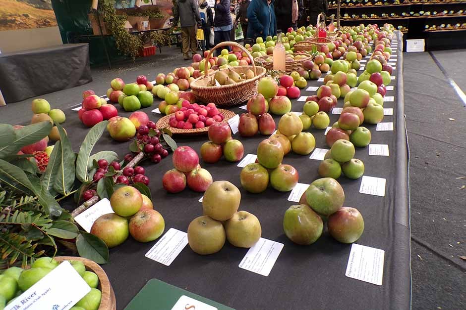 Apples in the Orchard and Hopyard Pavillion