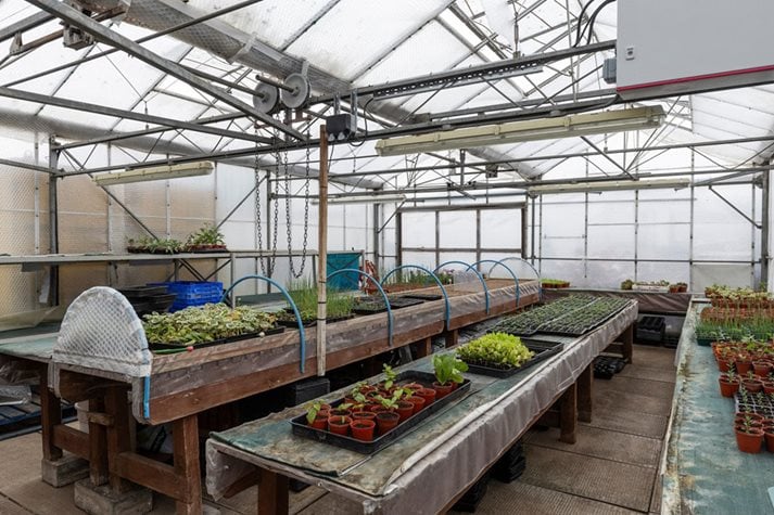 The garden’s nursery production area consists of nine polytunnels where an extensive variety of soft fruits and vegetables are grown from seed