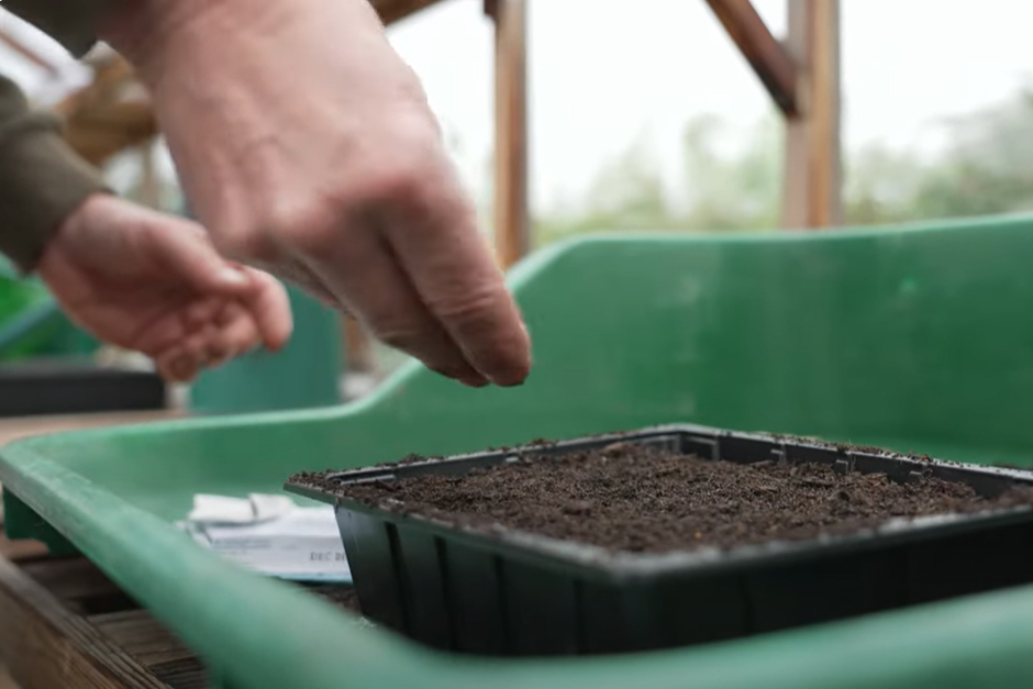 How to sow seeds