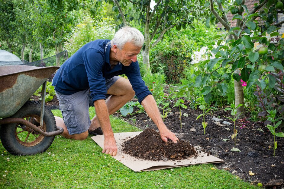 No-dig gardening: An easier way to grow — Saturday Magazine — The