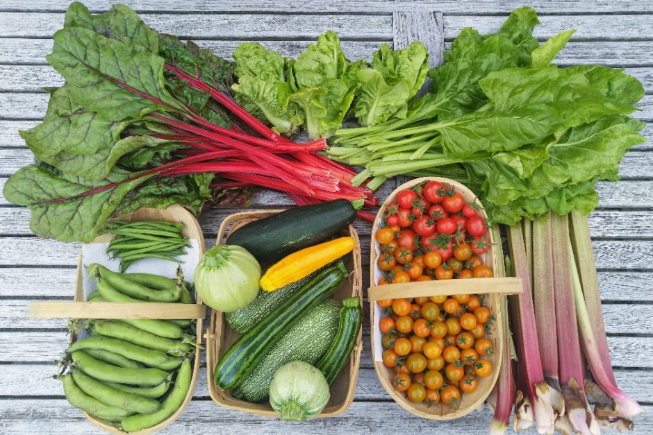 A July harvest of vegetables, salads and rhubarb