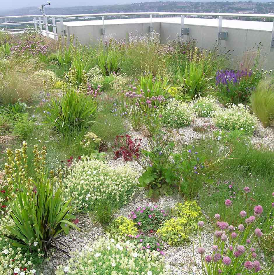 Roof gardens and balconies