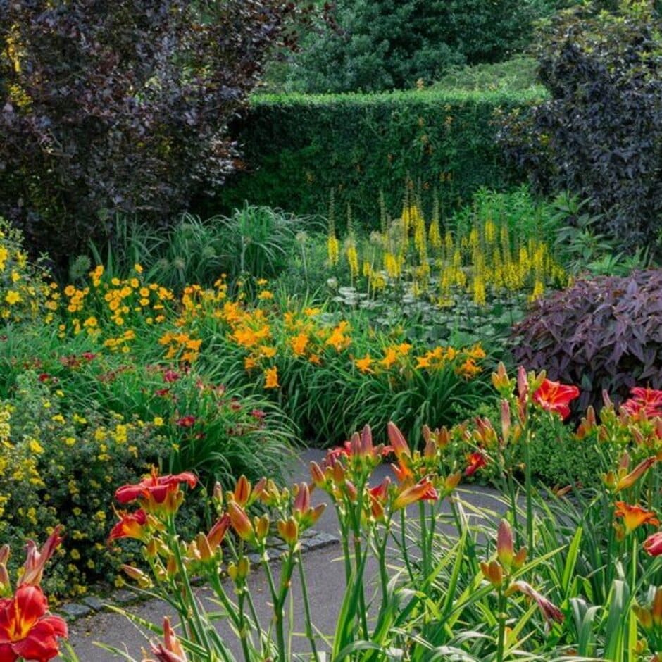 Hot-coloured foliage and flowers create vibrancy