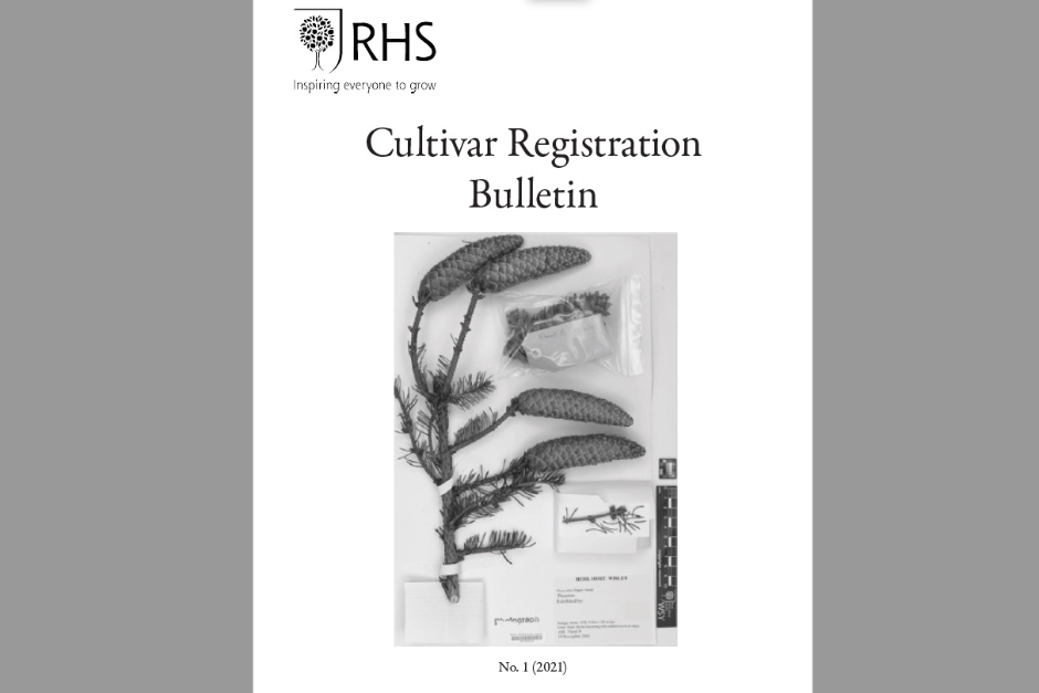 An annual publication to provide a record of cultivated plant names on behalf of International Cultivar Registration Authorities, and updates to ICRA information and activities.