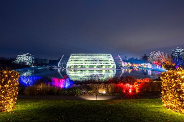 christmas 2021 events rhs garden wisley rhs gardening