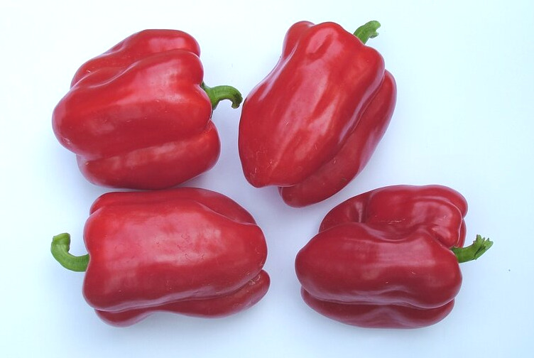 Plant deals red pepper