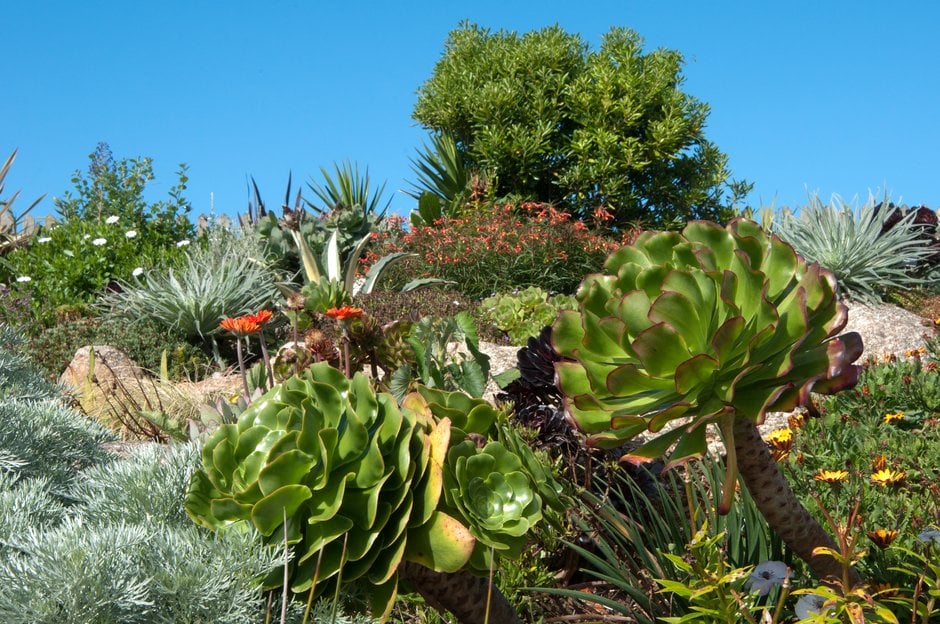 Coastal gardens